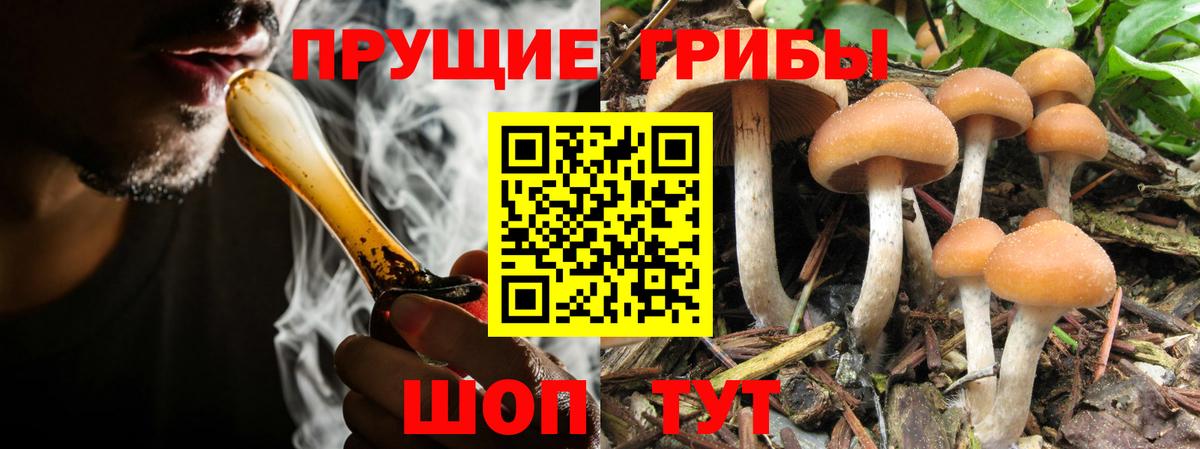Назарово  Галлюциногенные грибы мицелий  Вход с VPN 
